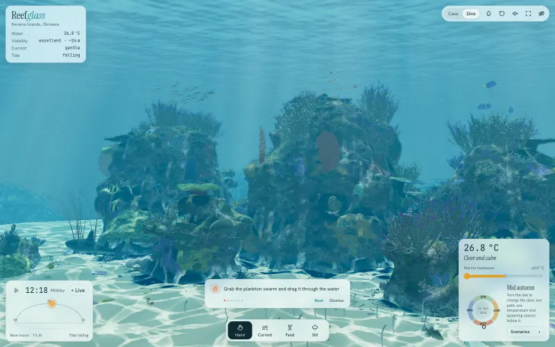 The reef at midday: bright water, caustic light on the sand.
