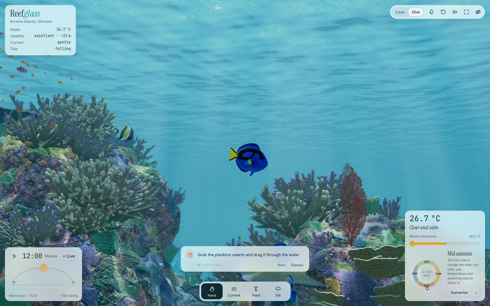 Following a blue tang (palette surgeonfish) in open water above the reef, with a school of sea goldies to the left.